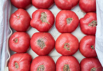 新鲜红番茄白色西红柿食物市场活力红色蔬菜绿色宏观农业图片