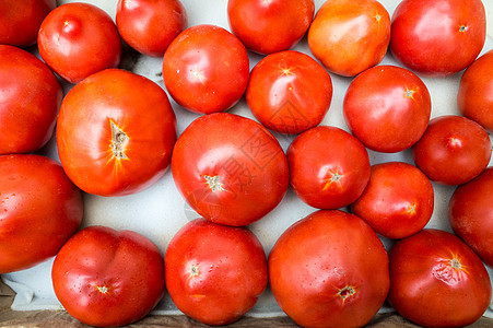 新鲜红番茄农业绿色活力宏观白色蔬菜食物红色西红柿市场图片