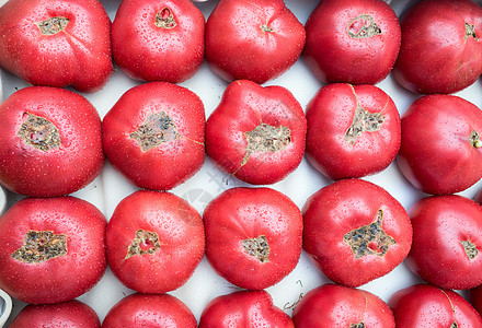 新鲜红番茄西红柿红色蔬菜绿色食物市场白色活力宏观农业图片
