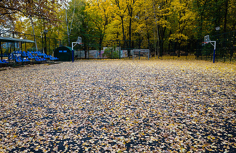 俄罗斯中部的秋季运动公园胡同叶子绿色操场小路篮球自然场地图片