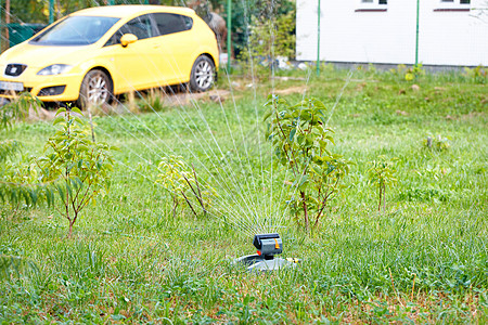 自动喷雾器在私人住宅的后院里灌溉绿草坪和青树图片