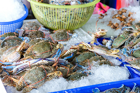 泰国海产食品市场新鲜生螃蟹照片食物蓝色美食渔业健康饮食摄影海滩店铺海鲜饮食图片