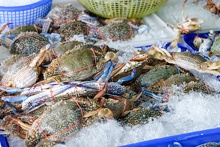 泰国海产食品市场新鲜生螃蟹照片海鲜购物饮食钓鱼食物摄影展示烹饪海滩青蟹图片