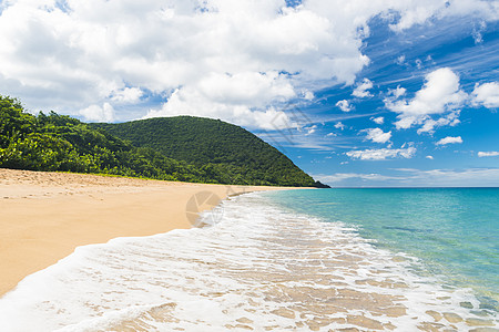 加勒比瓜德罗普湾珍珠海滩热带手掌海浪树木旅行部门异国瓜达可可领土图片