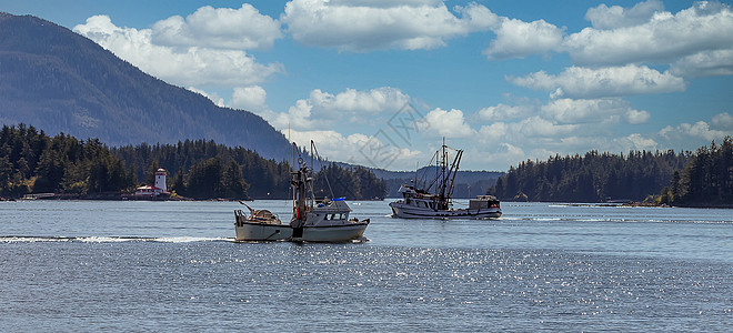 在阿拉斯加Sitka航行的商业渔船森林天际旅行天空海洋全景山脉树叶钓鱼港口图片