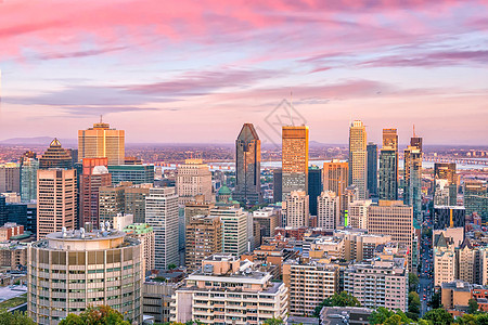 从加拿大日落时的顶端观点看蒙特利尔办公室地标树叶天线日出建筑摩天大楼旅行蓝色全景图片