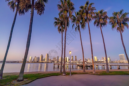 美国加利福尼亚州圣地亚哥市下城天线市中心海滩棕榈建筑学树木海洋风景景观港口码头图片