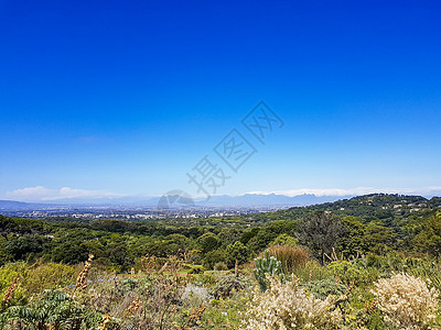 国家植物园对开普敦的全景山脉旅行观光游客植物园公园城市国家场地森林图片