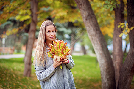 一个穿着灰色羊毛衫的漂亮女孩 穿过城市公园 在花束中收集秋叶树叶开襟衫情绪树木城市森林乐趣落叶黄色公园空气图片