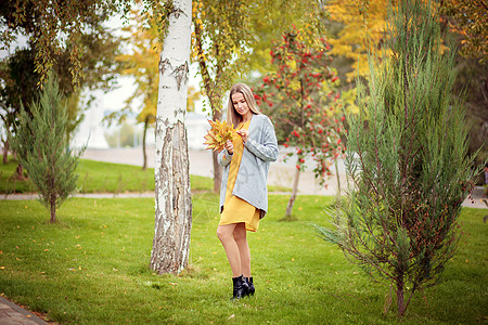 一个穿着灰色羊毛衫的漂亮女孩 穿过城市公园 在花束中收集秋叶树叶落叶森林空气城市乐趣金发女郎公园树木情绪开襟衫图片