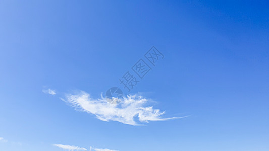蓝天有云 飞鸟和绿树枝 锯鱼形状的云彩斗争维生素天气翅膀羽毛体积射线环境紫外线航班图片