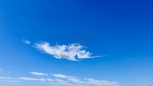 蓝天有云 飞鸟和绿树枝 锯鱼形状的云彩雷雨燕子斗争自由环境飓风飞行维生素紫外线射线图片