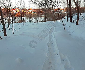 雪中的狗脚足迹图片