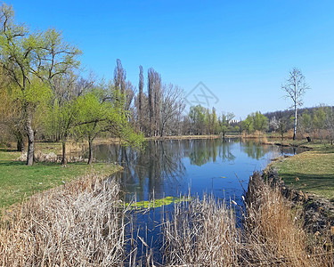 清澈的湖 在春天和蓝天空中图片