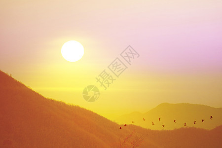 黄平俊山顶的日落和月光鸟飞翔环境场景阳光晴天旅游金子草地戏剧性公园国家图片