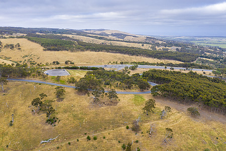 一条横穿澳大利亚滚滚绿山坡的高速公路树木丘陵线条叶子森林植物群风景车辆林地环境图片