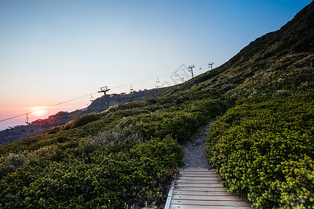 Mt Buller 日落视图 澳大利亚花朵首脑日落天空乡村国家丘陵薄雾太阳图片