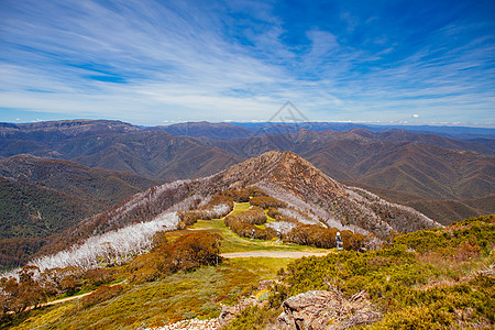 澳大利亚的假期丘陵荒野小路天空叶子植物群植被远足国家图片