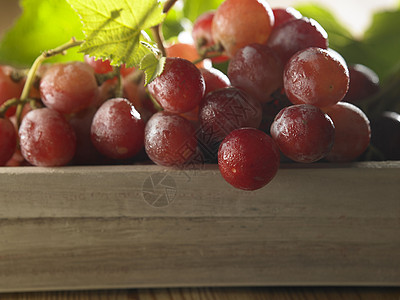 新鲜葡萄绿色白色农业收成叶子季节性浆果食物盒子箱子图片