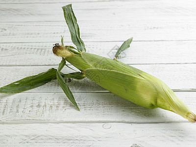 成熟玉米棒子农场黄色营养内核叶子收成粮食耳朵食物图片