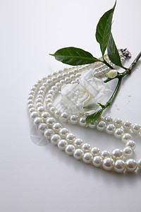 茉菊花香气植物群珠宝奢华细绳花朵项链珠子礼物宝石图片