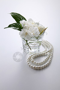 茉菊花项链花园茉莉细绳奢华花瓣植物珠宝珠子植物群图片