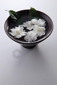 茉菊花香气花园植物茉莉花朵叶子白色季节性绿色花瓣图片
