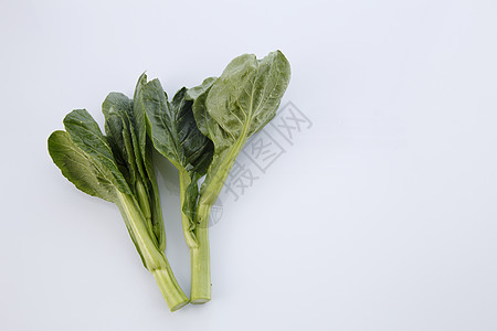 黑和植物生产食物芥菜蔬菜白色营养绿色叶子图片