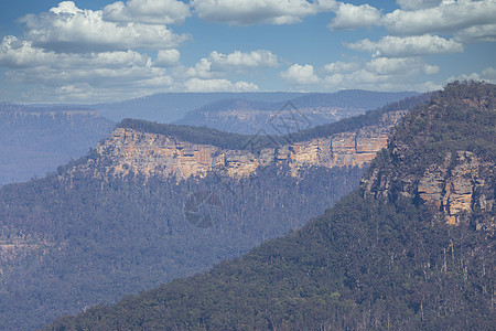 澳大利亚地区一棵森林在悬崖附近被野火烧毁树叶峡谷衬套丛林大火沟壑气候火灾土地环境图片