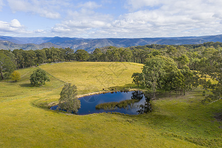 澳大利亚蓝山大隆谷山脉爬坡地区性叶子树木绿色公园植物群棕色农村图片