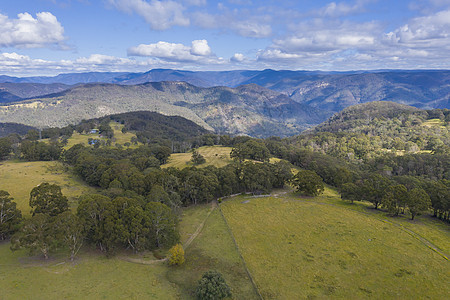 澳大利亚蓝山大隆谷农村环境木头乡村山脉绿色森林林地爬坡植物群图片
