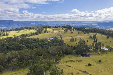 澳大利亚蓝山大隆谷地区性林地木头森林棕色绿色叶子灌木丛衬套山脉图片