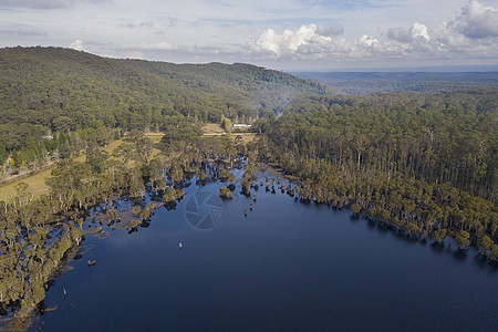 澳大利亚地区沃列米国家公园的山地湖 澳大利亚区域木头风景棕色绿色灌木丛旅行林地乡村衬套地区性图片