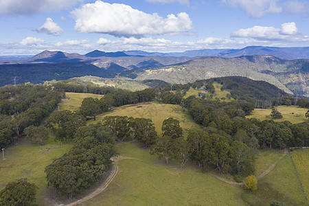 澳大利亚蓝山大隆谷风景树木林地乡村森林植物棕色山脉绿色衬套图片