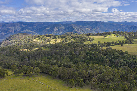 澳大利亚蓝山大隆谷公园森林农村树木爬坡灌木丛叶子植物群林地棕色图片