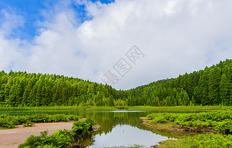 卡纳里奥亚速尔湖环境火山火山口花朵绣球花蓝色群岛小路植物农村图片