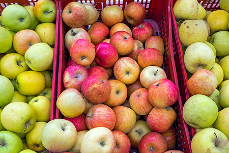 红苹果和绿苹果市场黄色维生素摊位健康篮子生活活力水果饮食图片