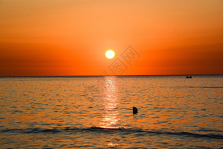 日落 3全景热带蓝色海滩日出黑色夕阳色天空橙子太阳报图片