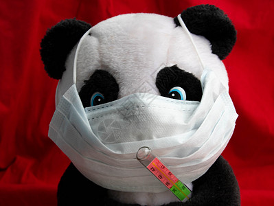装有温度计的医疗面具的一只玩具熊猫坐在红色背景上 Corona病毒治疗概念面具医疗图片