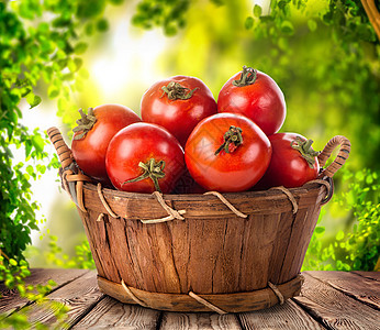 篮子里的番茄植物桌子园艺收成农场乡村叶子花园食物生物图片