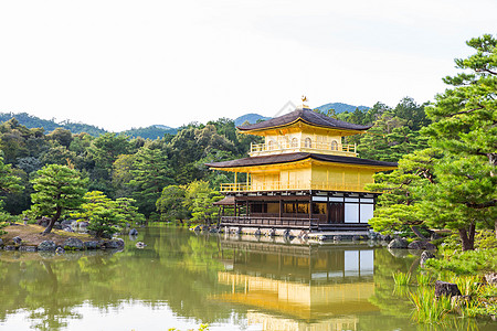 日本京都金宫寺庙 京都金殿堂图片