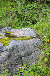 挪威风景 大岩石 山和森林 挪威自然海默达图片