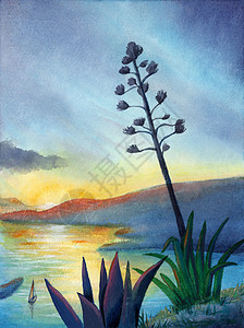 日落时的海景岩石海岸太阳阳光绘画海浪水彩地平线插图艺术图片