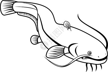 黑白两鱼在下游的回溯性黑色和白色图片
