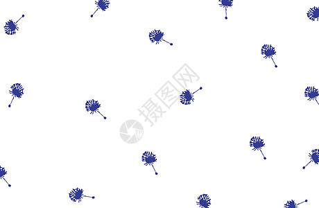 白色背景的蓝色蓝花朵漂浮在空中 图案图片