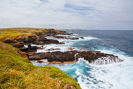 菲利普岛的Nobbies景观旅行海浪植被岩石晴天支撑海洋海岸海岸线蓝色图片