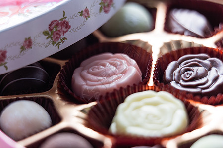 含有各种巧克力的粉色巧克力盒 宏盒子纪念日白色可可糖果牛奶周年礼物食物红色图片
