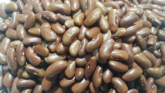 儿童豆 未熟熟红肾豆的近视粮食纤维农业菜豆饮食烹饪扁豆活力宏观走狗图片