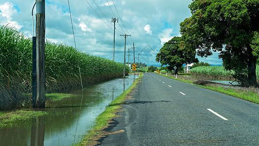 甘蔗田到洪水的重雨原因土地灌溉天气说谎雨量风暴倾盆大雨热带沼泽场地背景