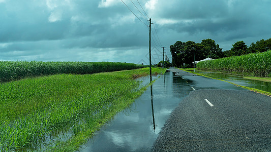倾盆大雨甘蔗田到洪水的重雨原因农民气候雨量气氛天气渠道生产灌溉农业土地背景